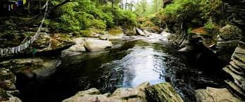Natural Spring Water